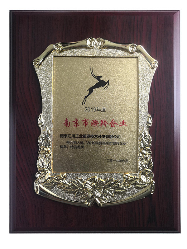 南京市瞪羚企业